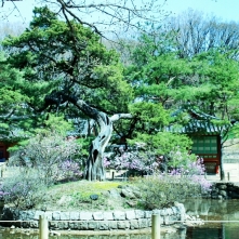 Jongmyo Shrine's Jungjidang