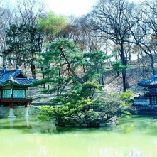 Changdeokgung Palace's Buyongji, Buyongjeong, and Sajeonggibigak